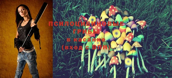 PSILOCYBIN Белоозёрский