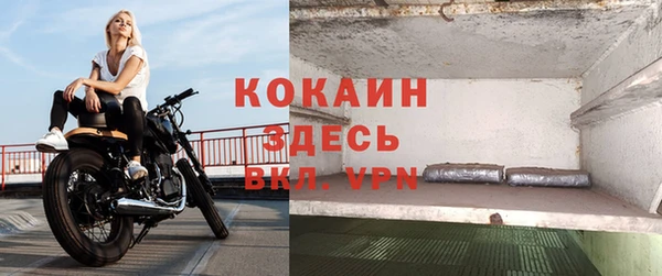 круглые Белокуриха